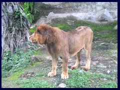 Parque Zoologico Nacional 03